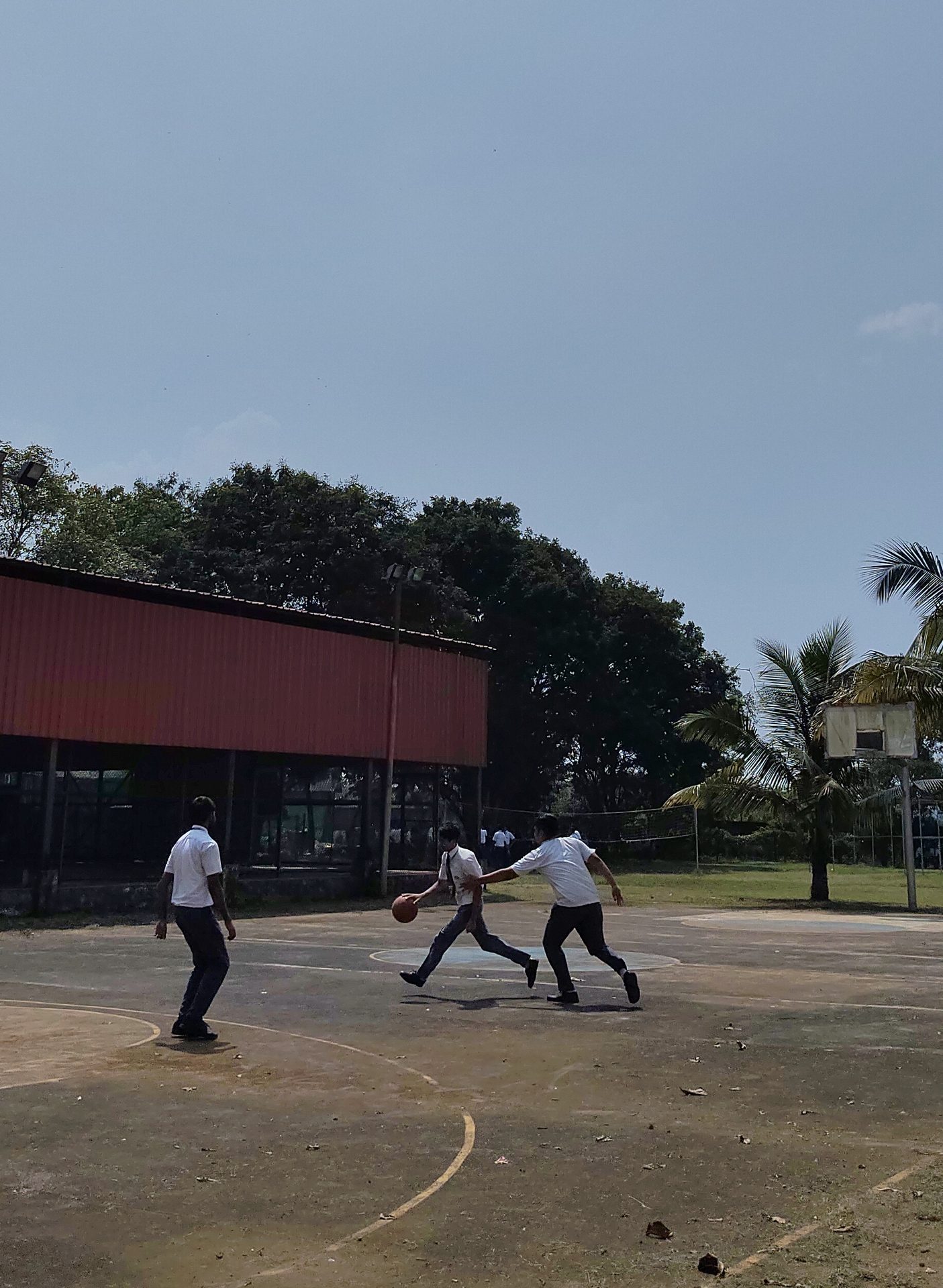 Basketball Court