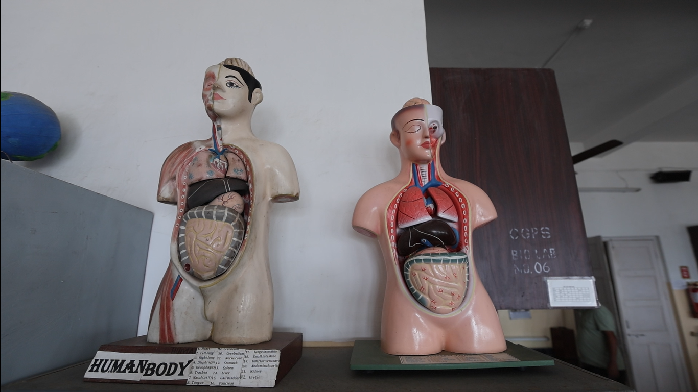 Gallery image 3