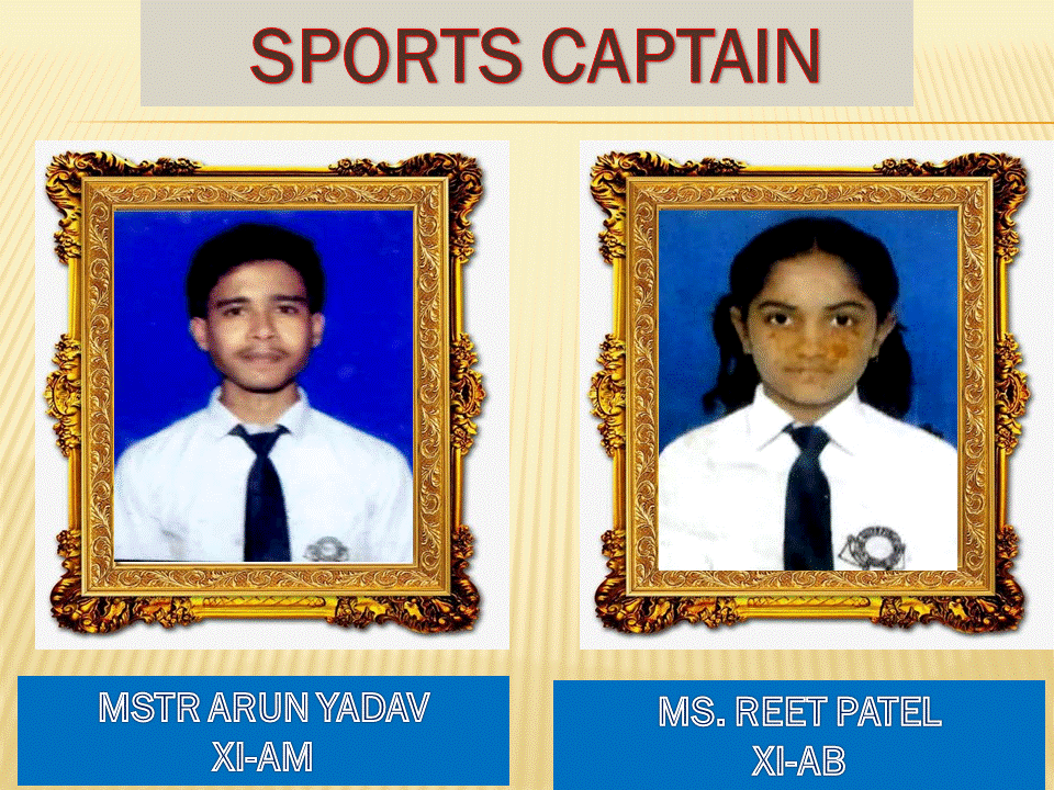 Gallery image 7