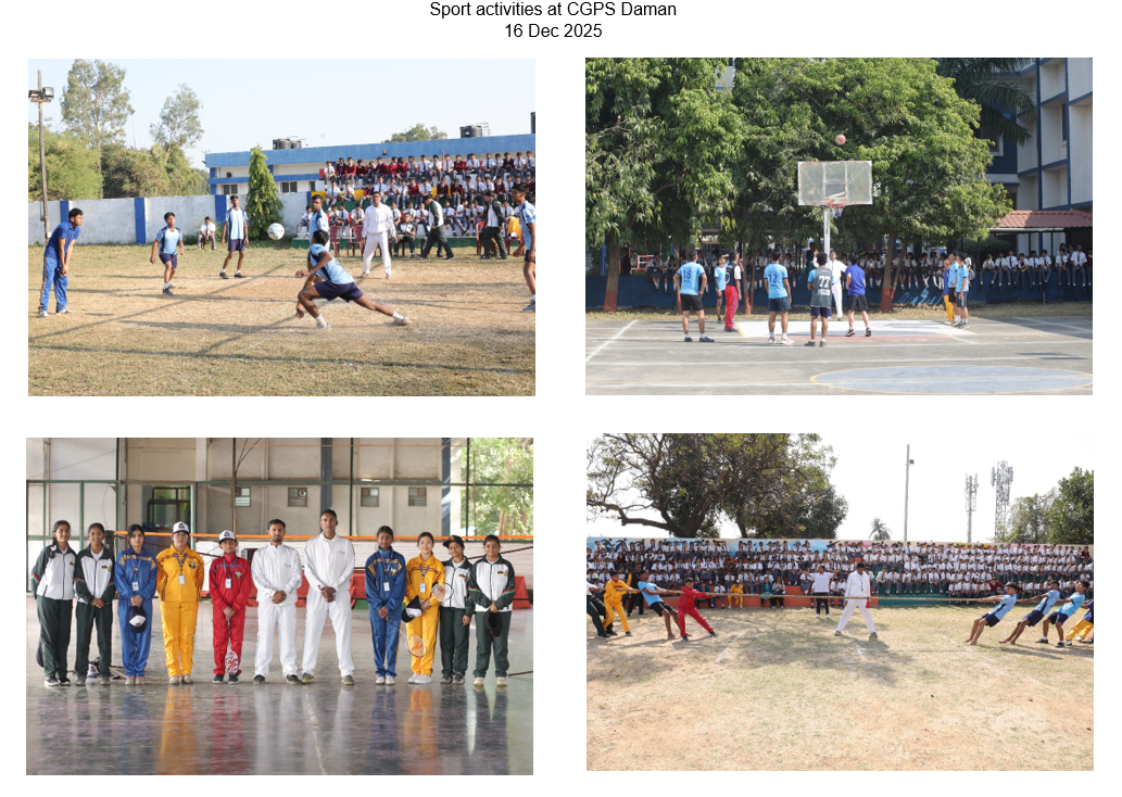 Gallery image 6